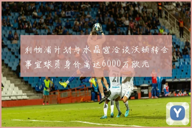 利物浦计划与水晶宫洽谈沃顿转会事宜球员身价高达6000万欧元
